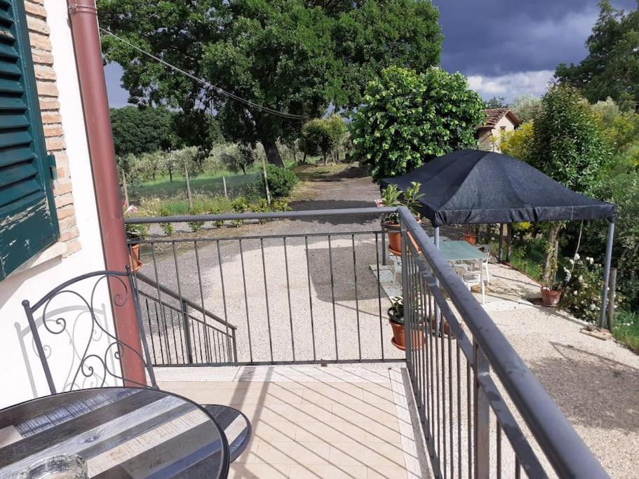 Ferienwohnung Costa Del Sole 42 Cetona Exterior foto